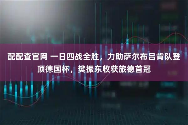 配配查官网 一日四战全胜，力助萨尔布吕肯队登顶德国杯，樊振东收获旅德首冠