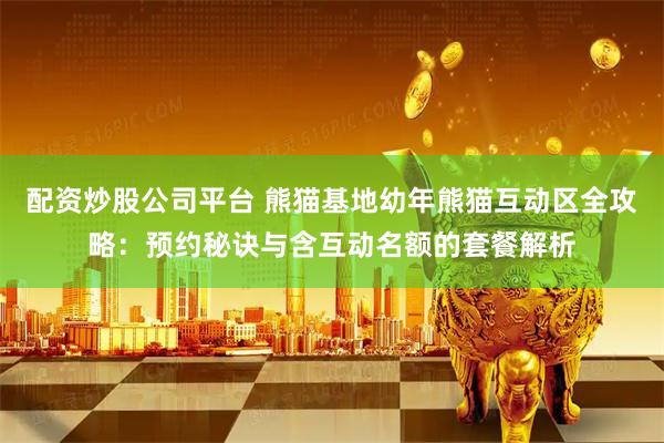 配资炒股公司平台 熊猫基地幼年熊猫互动区全攻略：预约秘诀与含互动名额的套餐解析