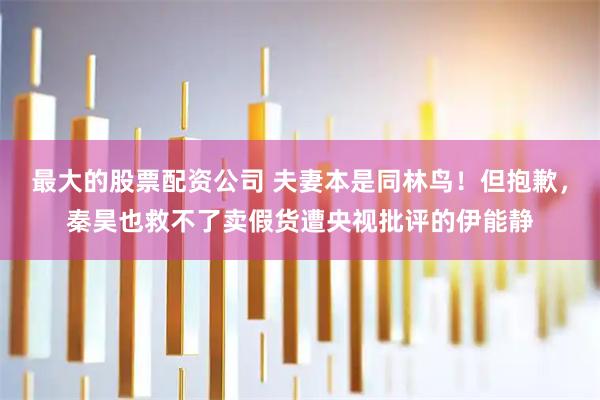 最大的股票配资公司 夫妻本是同林鸟！但抱歉，秦昊也救不了卖假货遭央视批评的伊能静