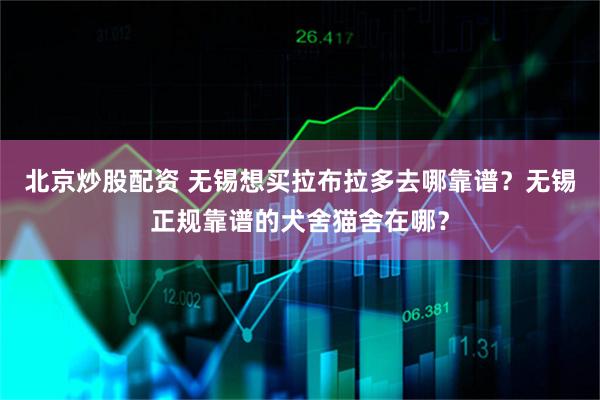 北京炒股配资 无锡想买拉布拉多去哪靠谱？无锡正规靠谱的犬舍猫舍在哪？