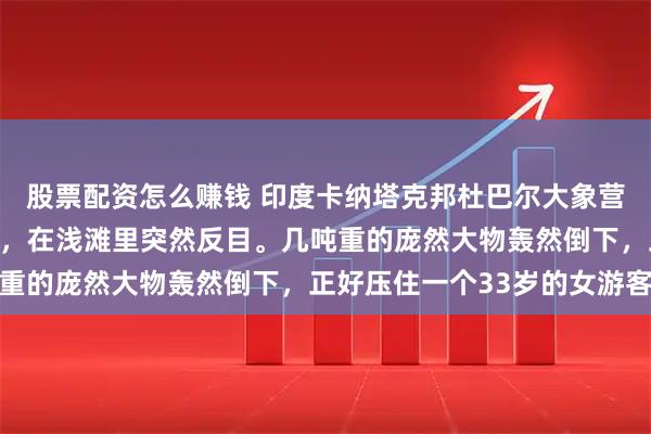 股票配资怎么赚钱 印度卡纳塔克邦杜巴尔大象营！两头训练有素的大象，在浅滩里突然反目。几吨重的庞然大物轰然倒下，正好压住一个33岁的女游客