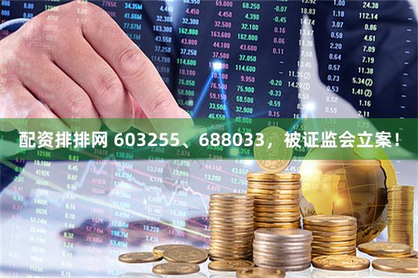 配资排排网 603255、688033，被证监会立案！